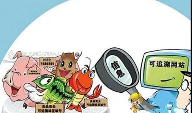 建立一物一码食品追溯平台的好处