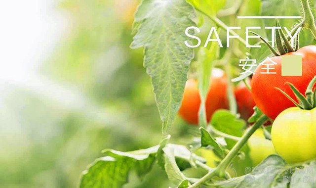 尚源食品行业防伪防窜货方案助力企业规避假货、窜货难题