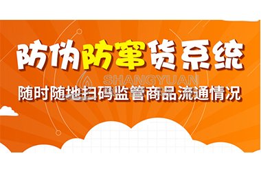 防窜货系统